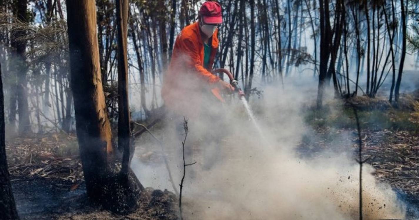 PJ deteve agricultor suspeito de atear incêndio em Lamego