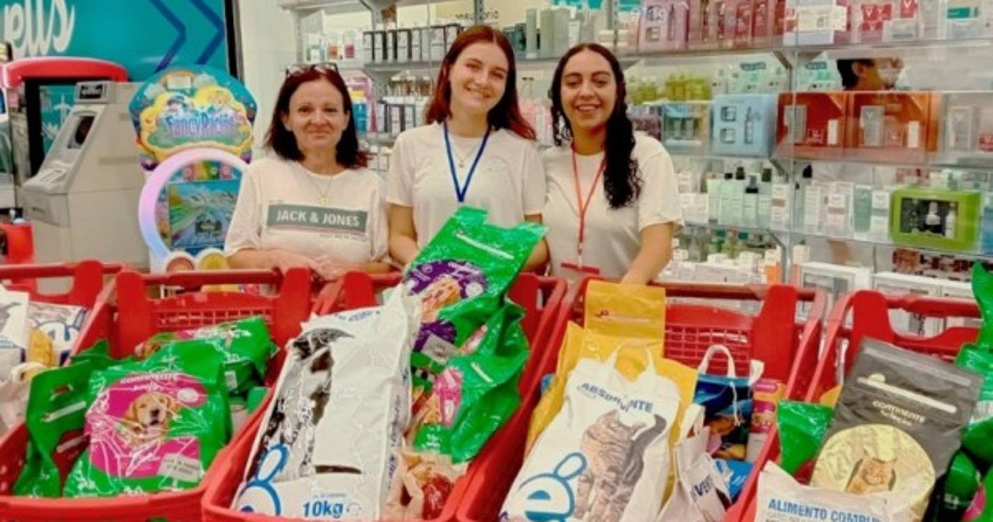 Banco Solidário Animal angariou mais de 320 toneladas de bens