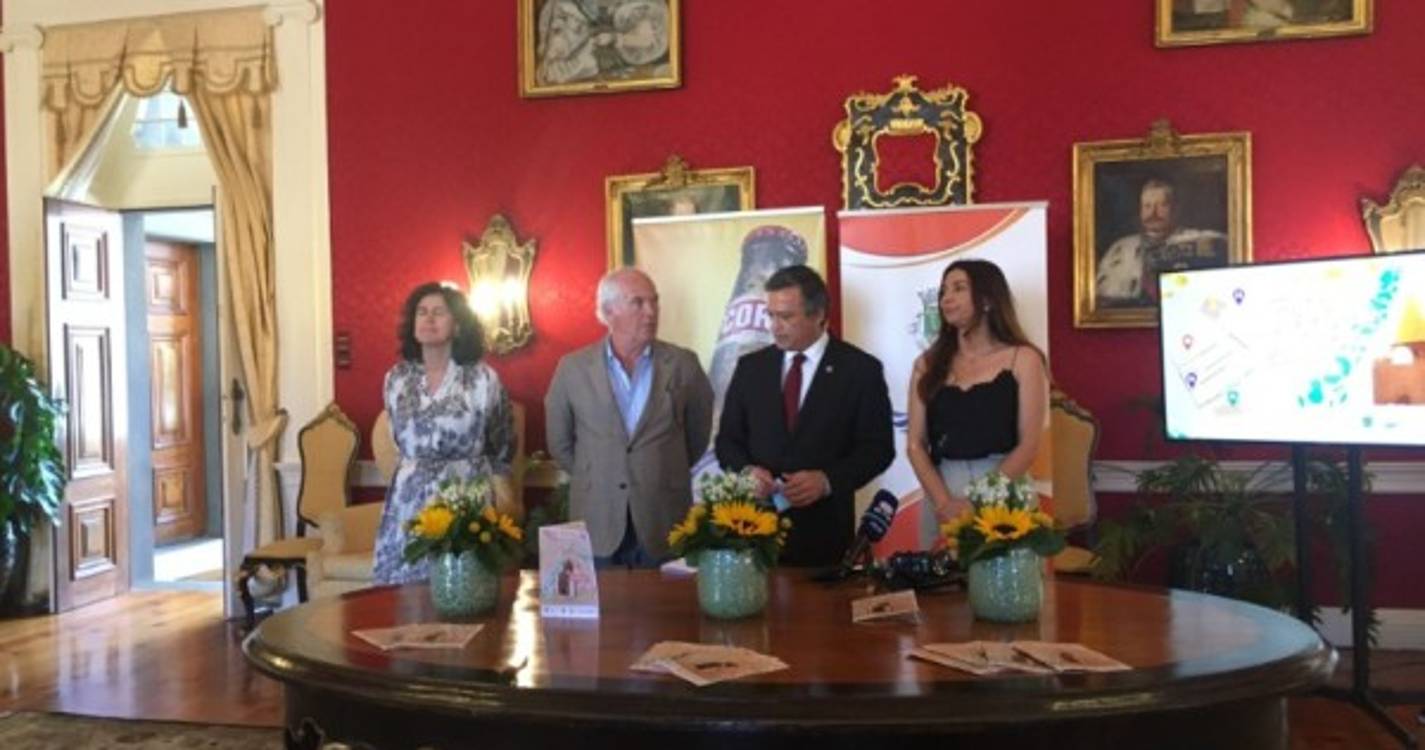 Festas da Sé com talentos regionais prometem animar a cidade