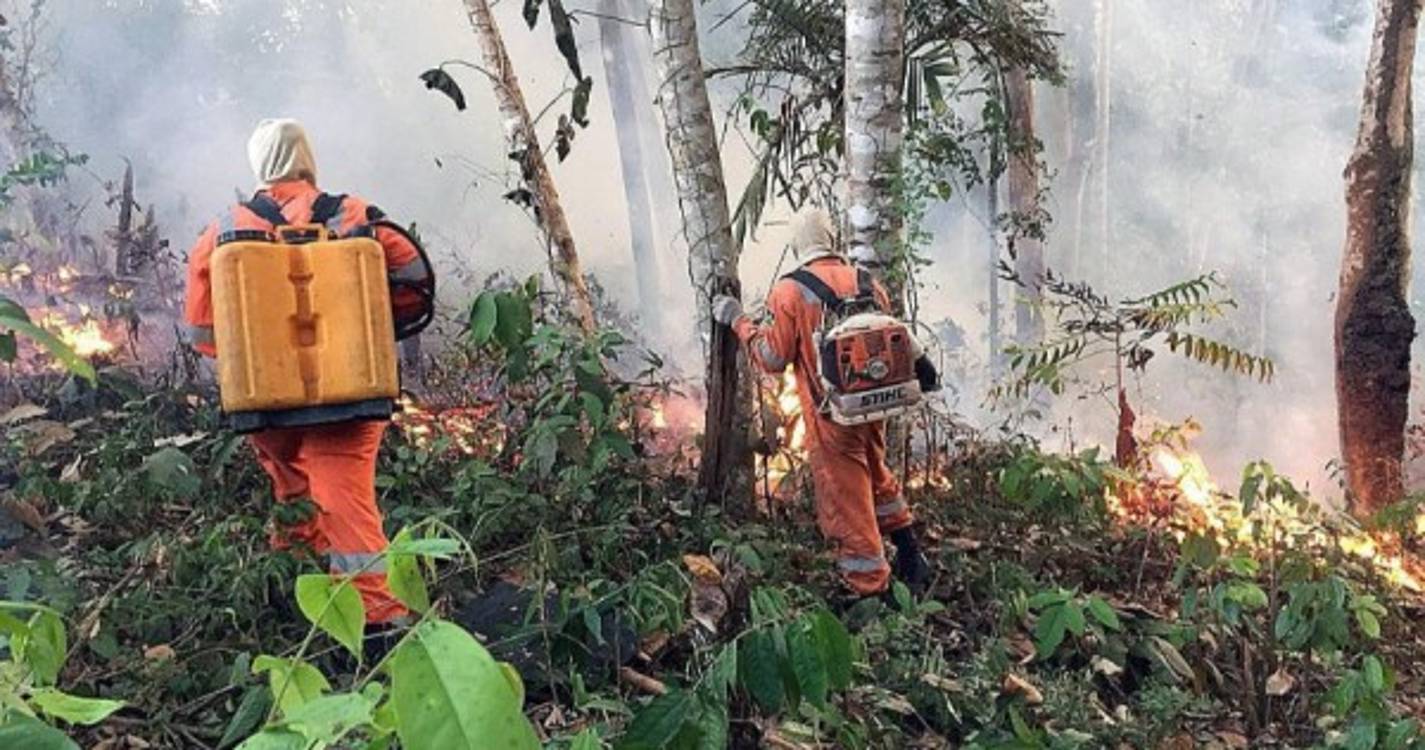 Incêndios: Governo quer SIRESP a funcionar sem falhas