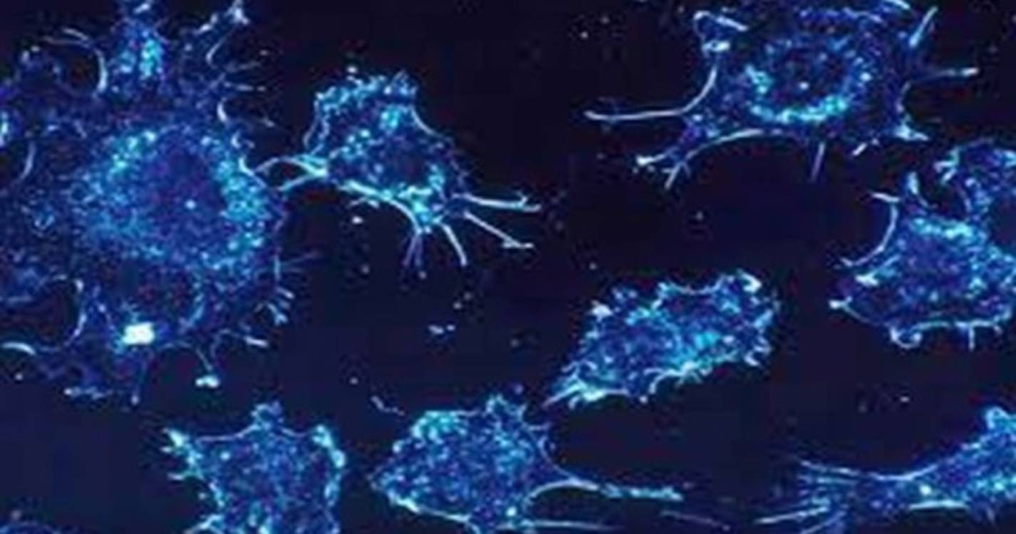 Cientistas identificam mutação genética associada a linfomas e cancro do pulmão