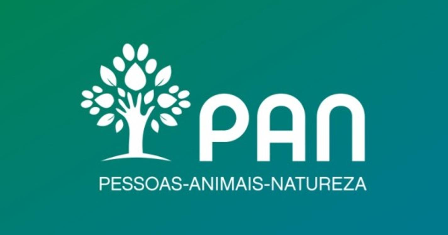 TAP: PAN acusa Governo de comportamento "absolutamente irresponsável"