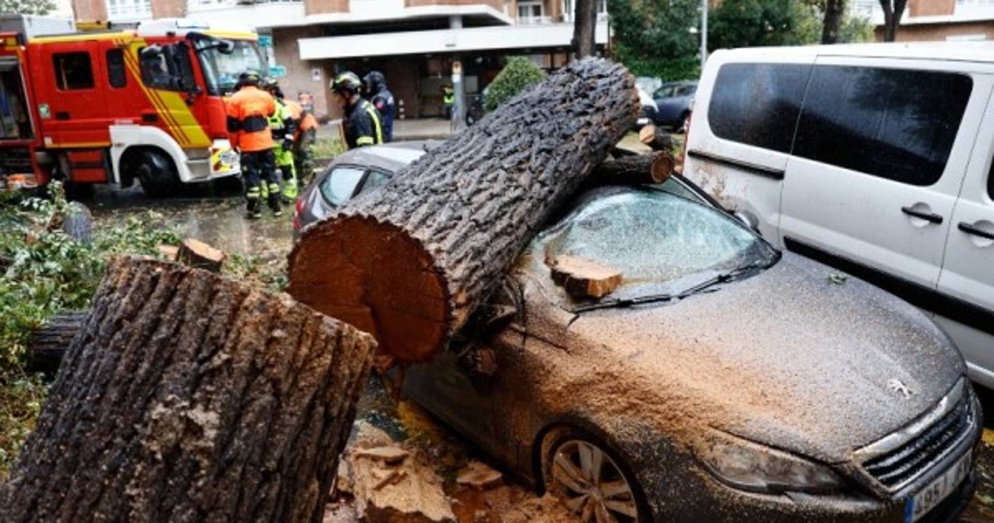Tempestade Ciarán deverá ter originado os ventos mais fortes registados em décadas (com fotos)
