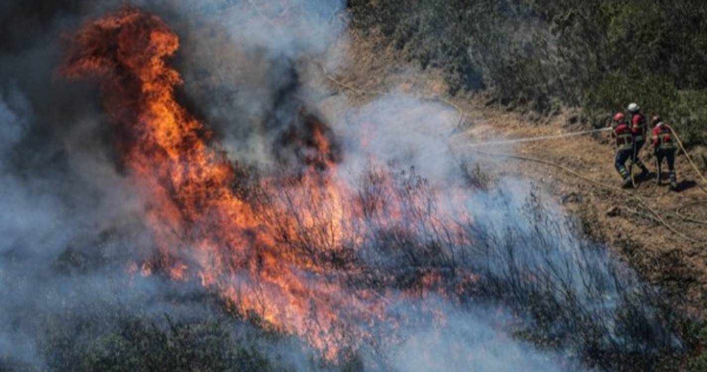 Incêndios: Prisão preventiva para alegado incendiário detido em Vila Viçosa