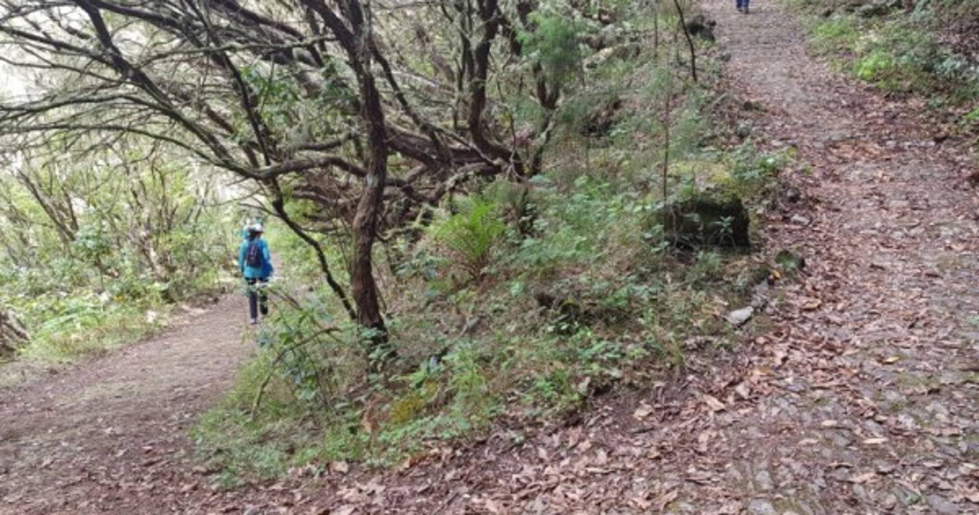 Workshop fotográfico no Caminho Real 24 no dia 28 de maio