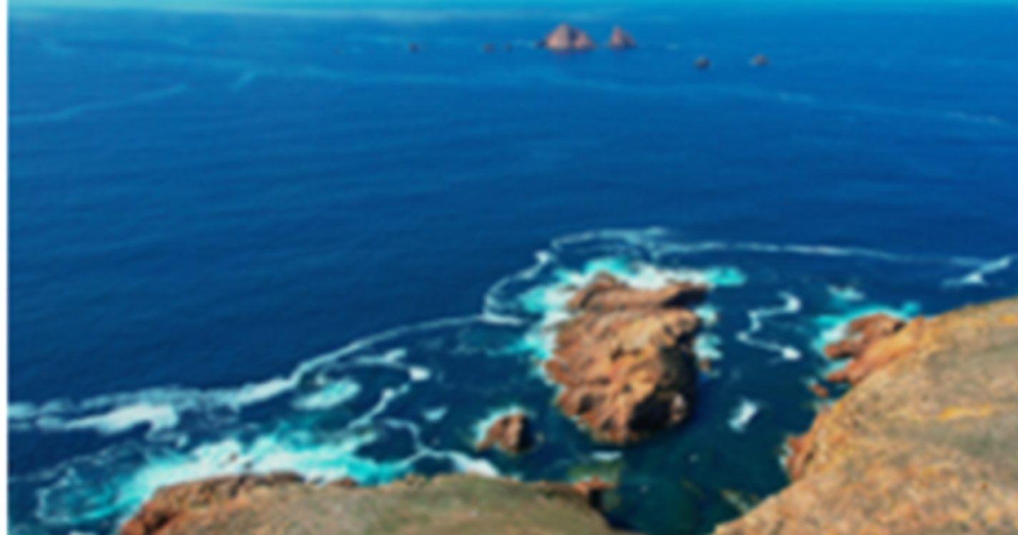 The Art of Tasting Portugal e CNN Portugal apresentam programa com o melhor da gastronomia nacional