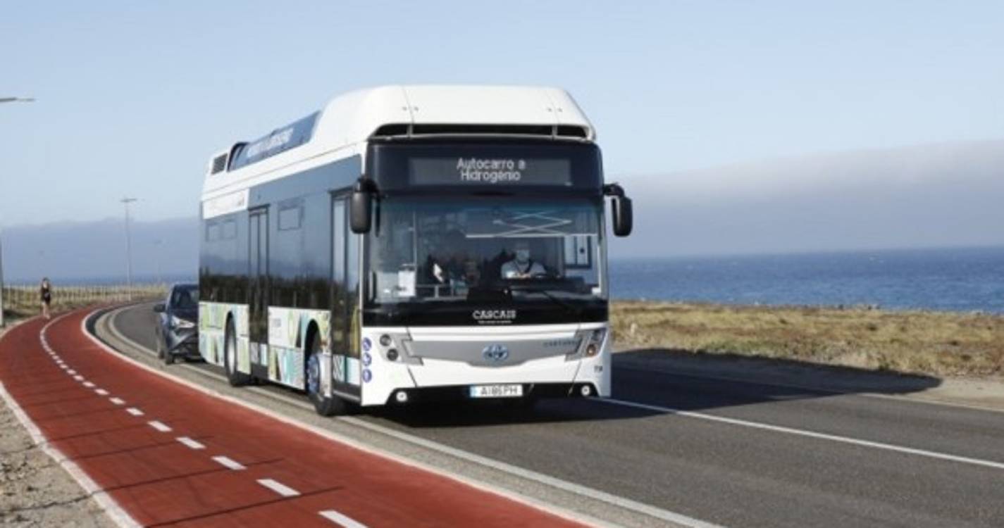 Cascais vai transformar lixo doméstico em hidrogénio para abastecer autocarros