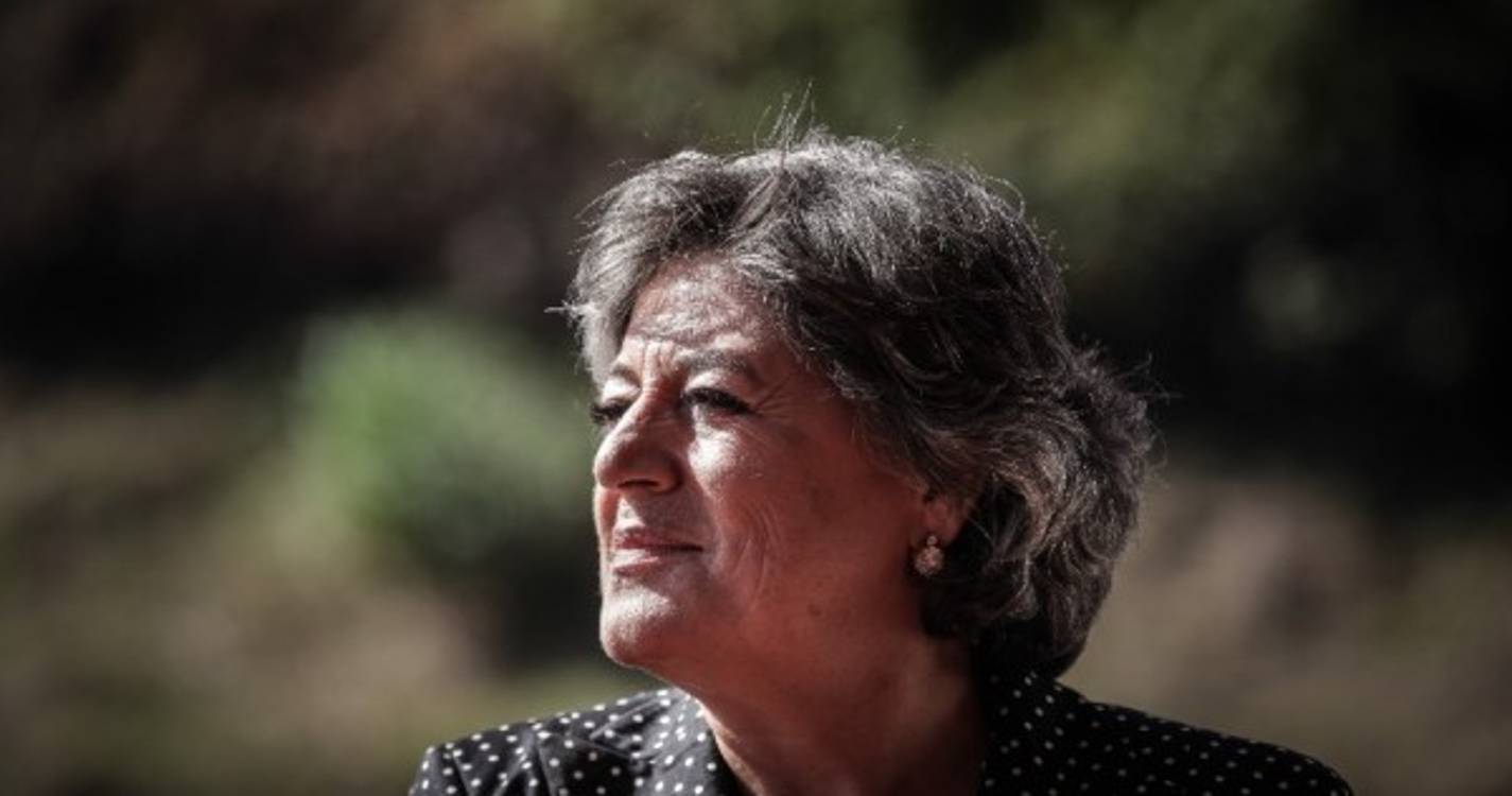 Ana Gomes mantém em tribunal epítetos sobre Mário Ferreira