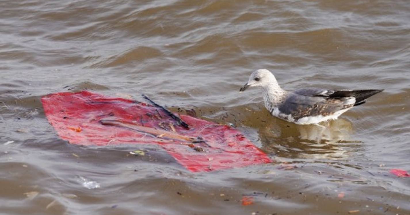 Autoridade Marítima realiza ação de formação no âmbito do combate à poluição do mar