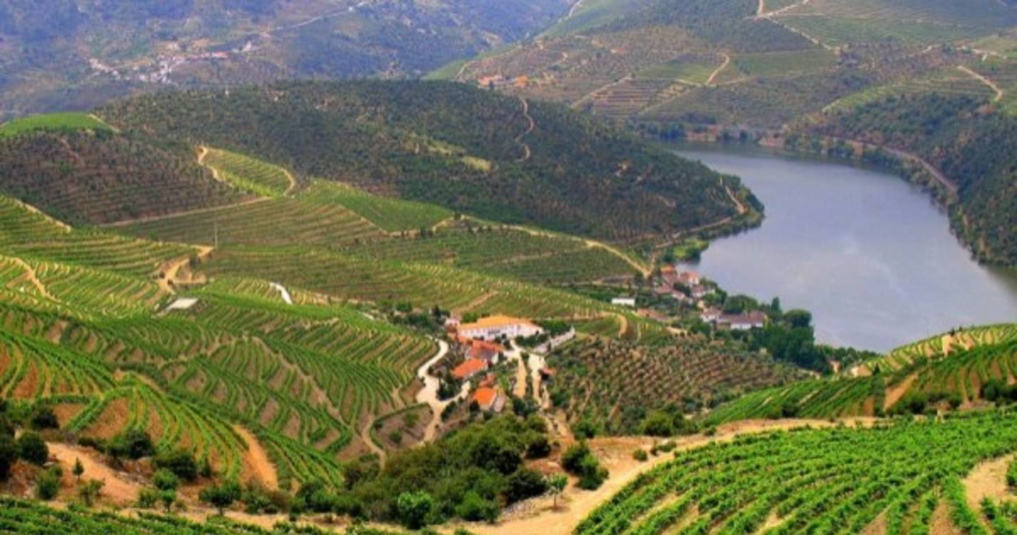 Região do Douro escolhida para Cidade Europeia do Vinho 2023