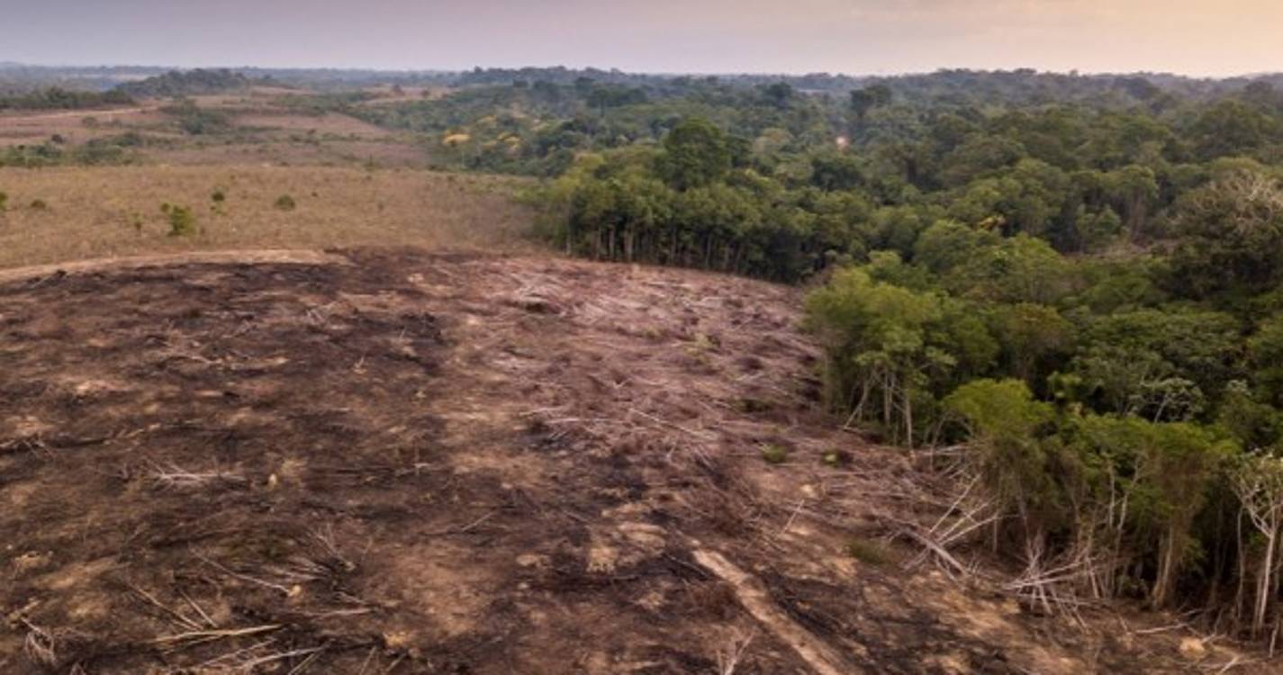 Brasil defende negociação de metas globais para reduzir a desflorestação