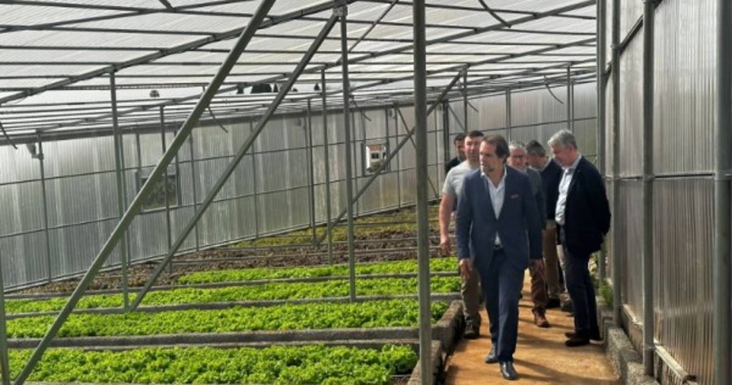 Futuro da agricultura passa pela incorporação de tecnologias nas explorações