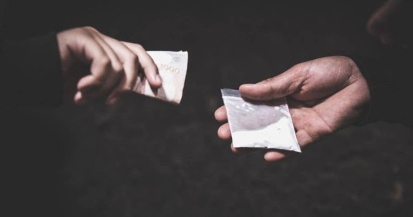 Luta contra tráfico de droga na Colômbia deve conduzir à maior apreensão da história