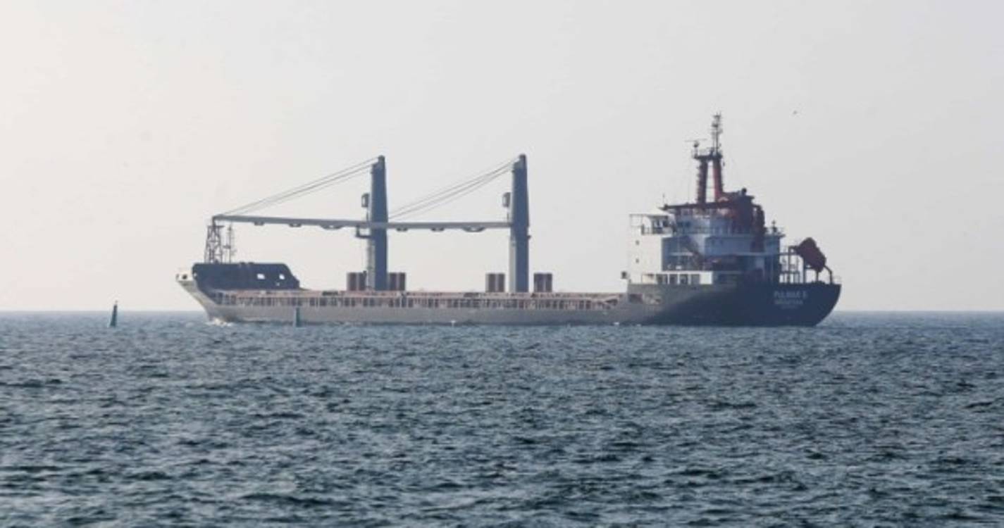 Ucrânia: Inspecionado último navio com cereais no Mar Negro