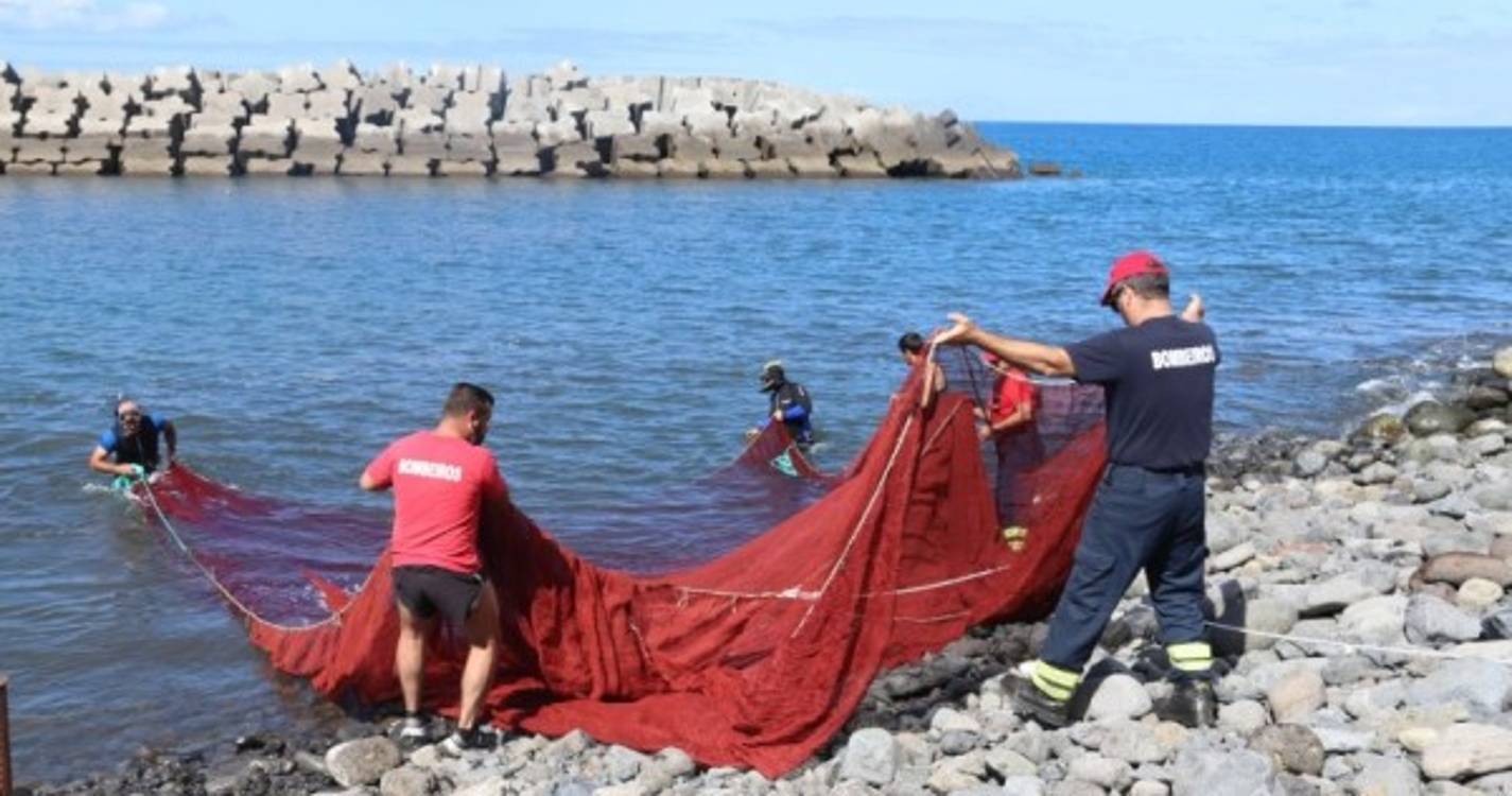 Limpeza subaquática na praia da Ribeira Brava