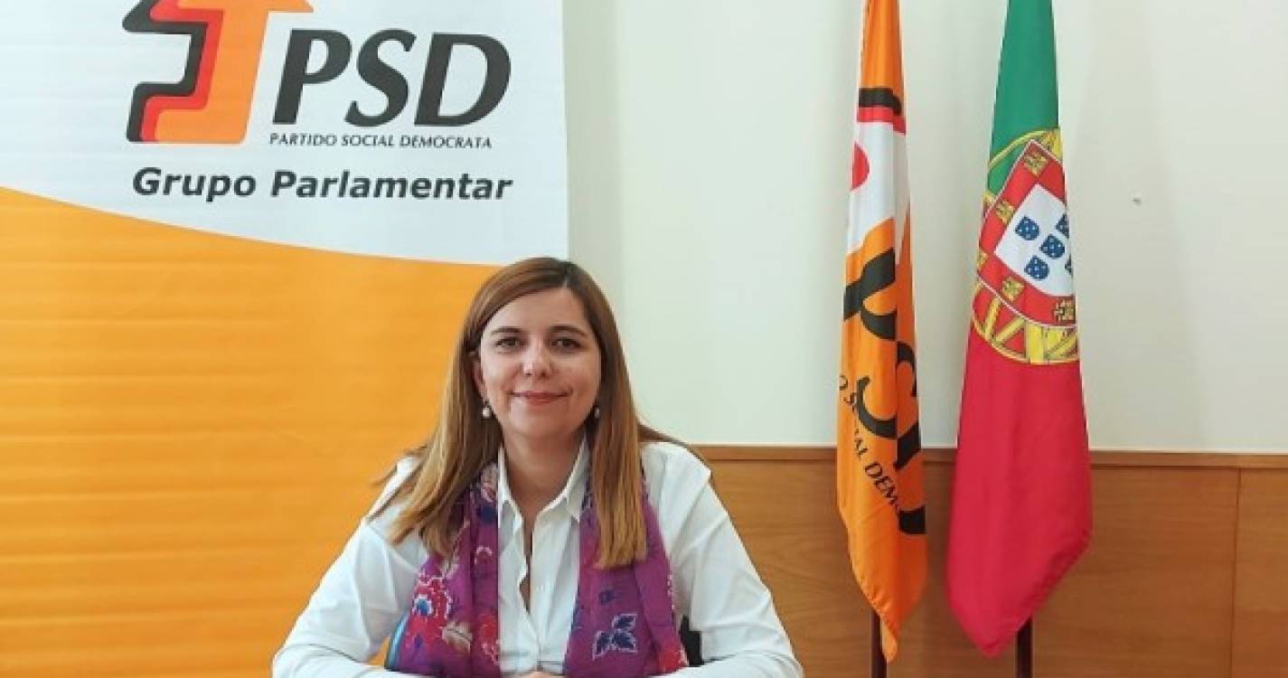PSD avança com projeto de lei para a aposentação de todos os trabalhadores dos Matadouros da Madeira