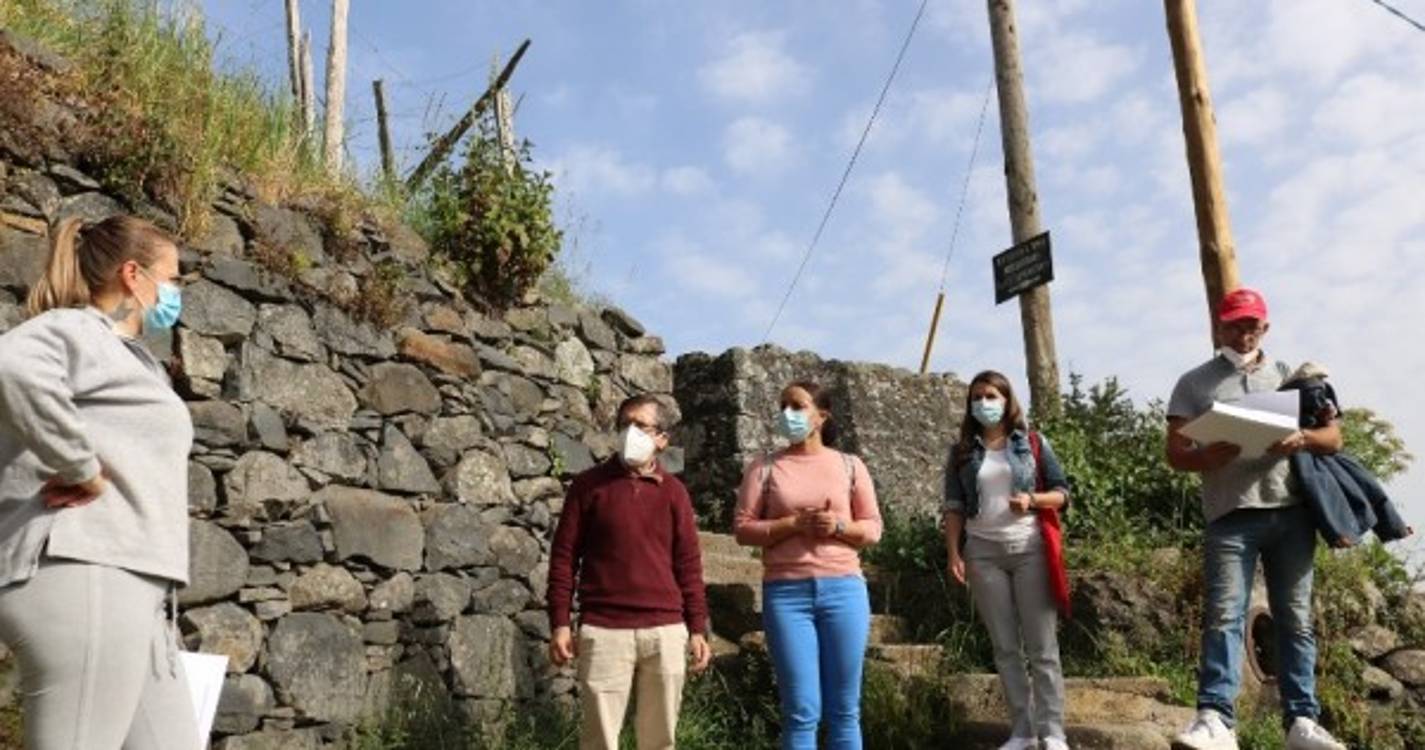 CDU alerta para problemas de acessibilidade nas zonas altas do Funchal