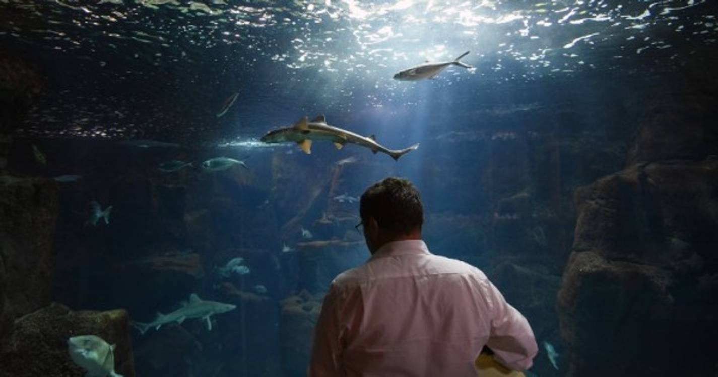 Aquário da Madeira com entrada gratuita esta terça-feira