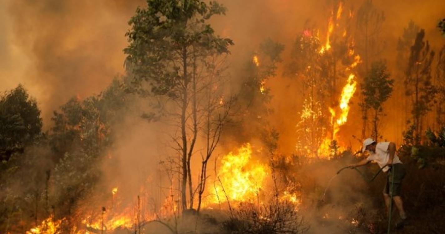 Cerca de 50 concelhos em risco muito elevado de incêndio