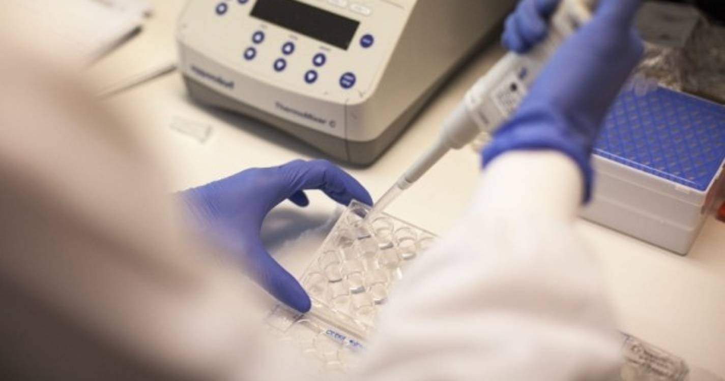 Governo aprova proposta de novo estatuto da carreira de investigação científica