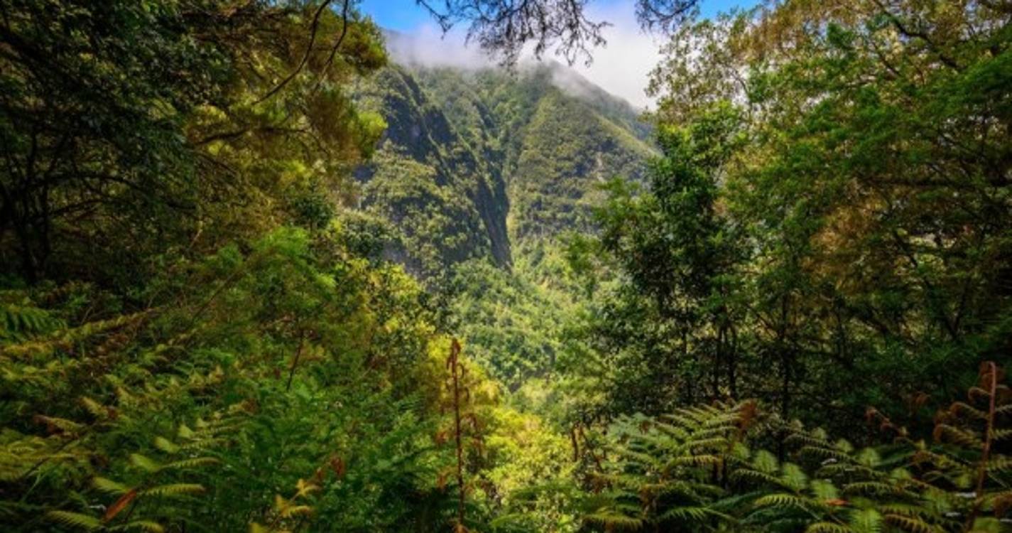 Associação de Promoção da Madeira nomeada para Melhor Entidade de Turismo