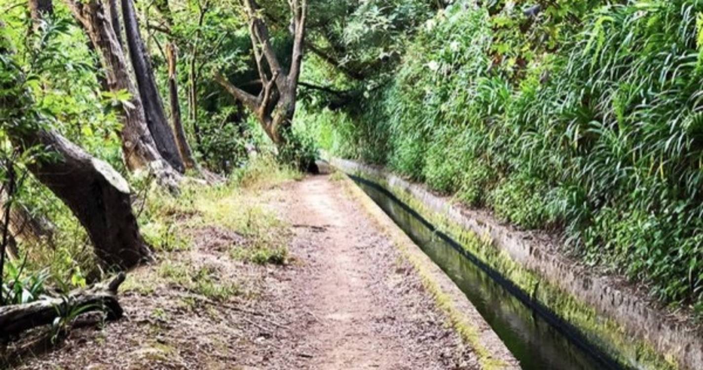 Acumulação de folhagem aumentou caudal da levada dos Tornos