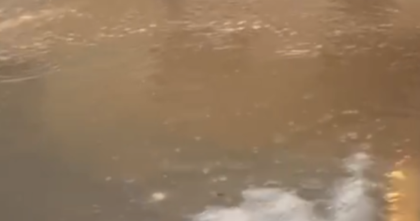 Lota do Funchal completamente alagada (veja o vídeo)