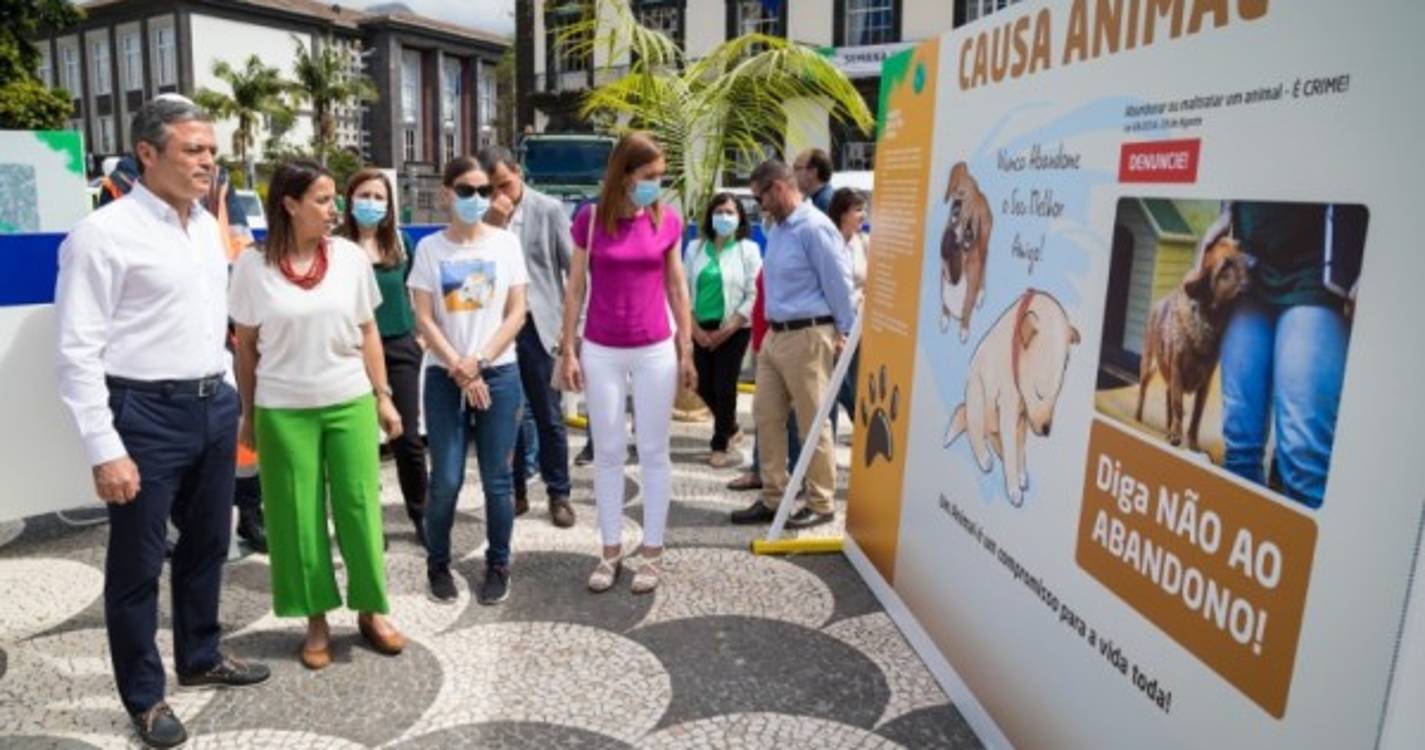 CMF lança passatempo ‘Mime o seu animal de estimação’