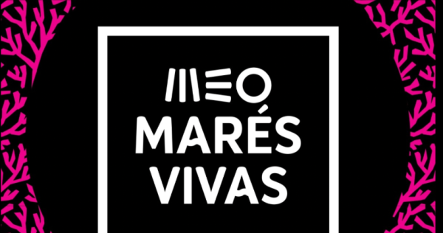 Marés Vivas: Festival regressa a Vila Nova de Gaia a 19, 20 e 21 de julho de 2024