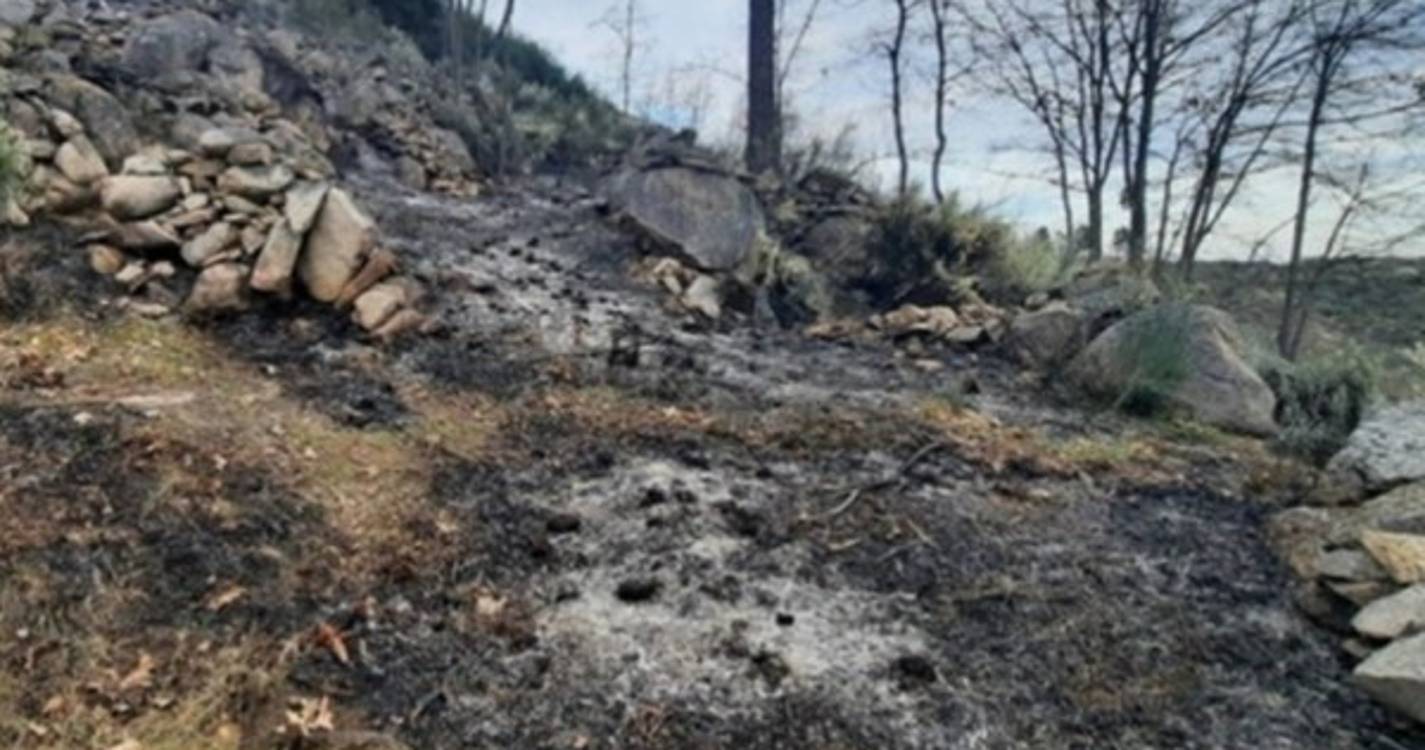 Detido suspeito de ter originado fogo em Trancoso