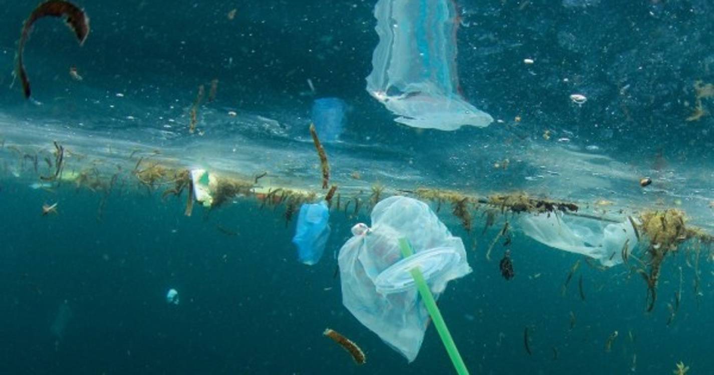 Oceanos: Quénia prepara legislação que criará "crime de 'ecocídio'"