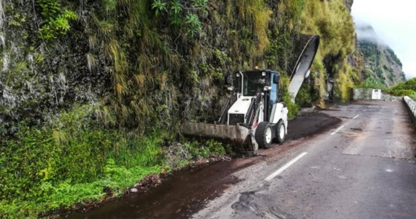 Antiga estrada regional no Seixal alvo de limpeza (com fotos)