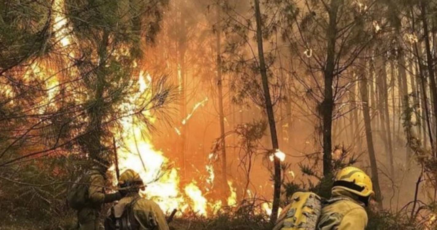 Incêndios: Comissão Europeia reconhece que UE precisa de reforçar meios