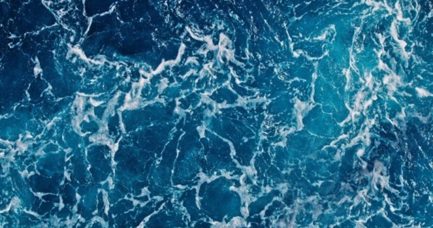 Madeira lidera execução de projetos no programa Mar 2020