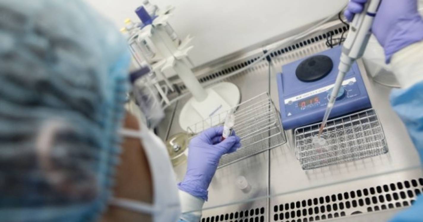 Monkeypox: Número de infeções sobe para 58 em Portugal