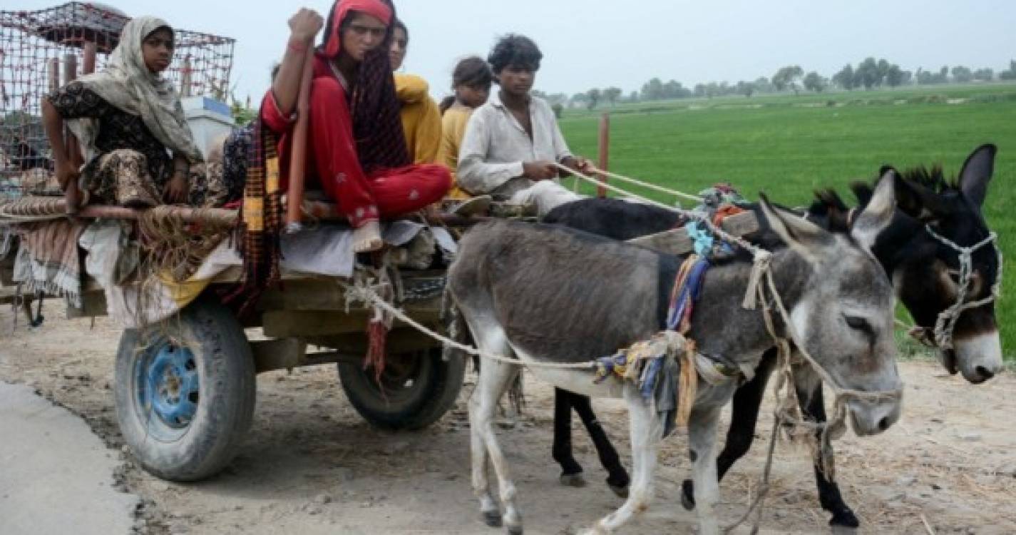 Inundações no Paquistão forçam retirada de 128 mil pessoas e aumento do nível de alerta