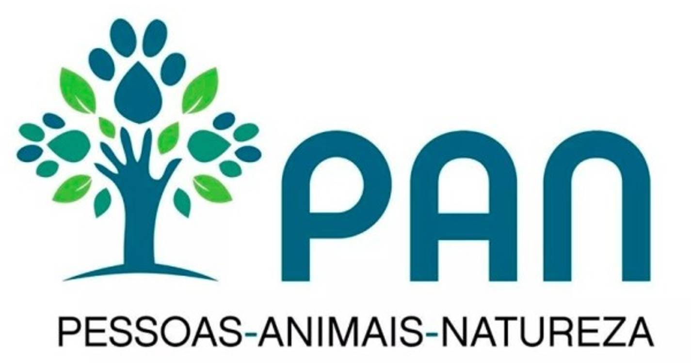 Legislativas: Pelo menos dez demissões na Comissão Política Nacional do PAN