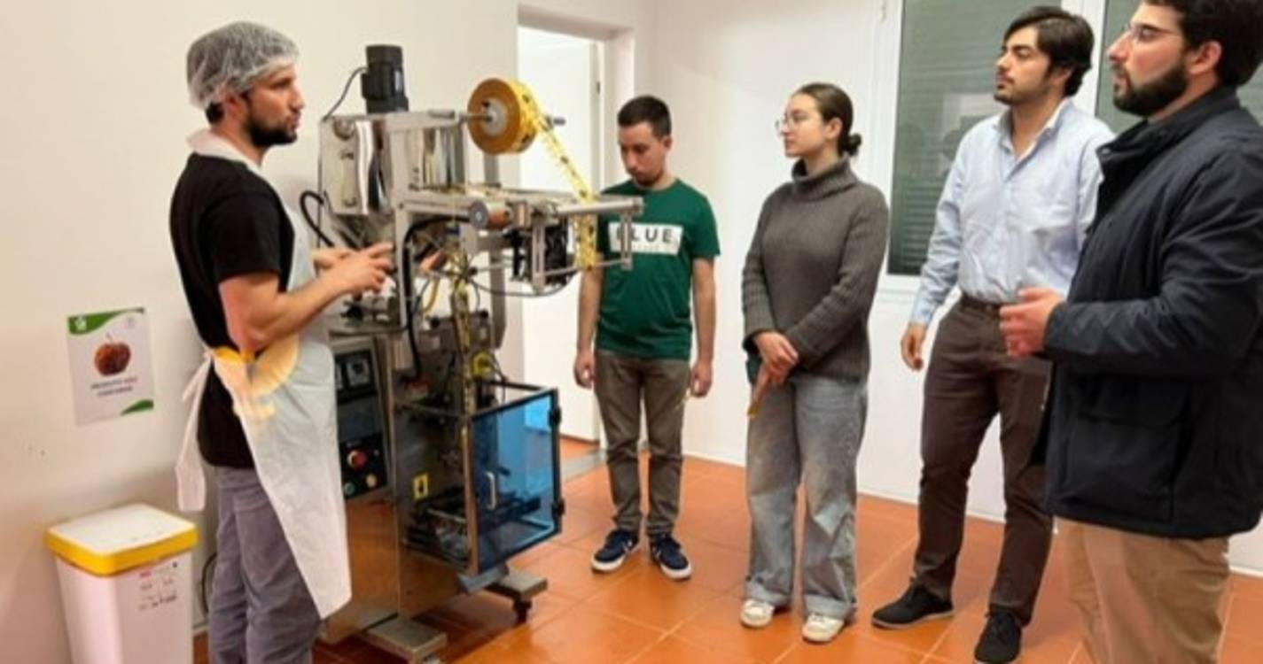 Setor primário é uma das prioridades para a JSD