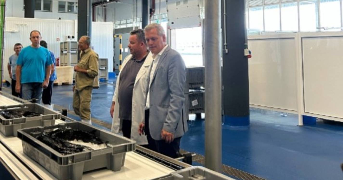 Venda de peixe espada preto bate recorde de 7,6 milhões de euros