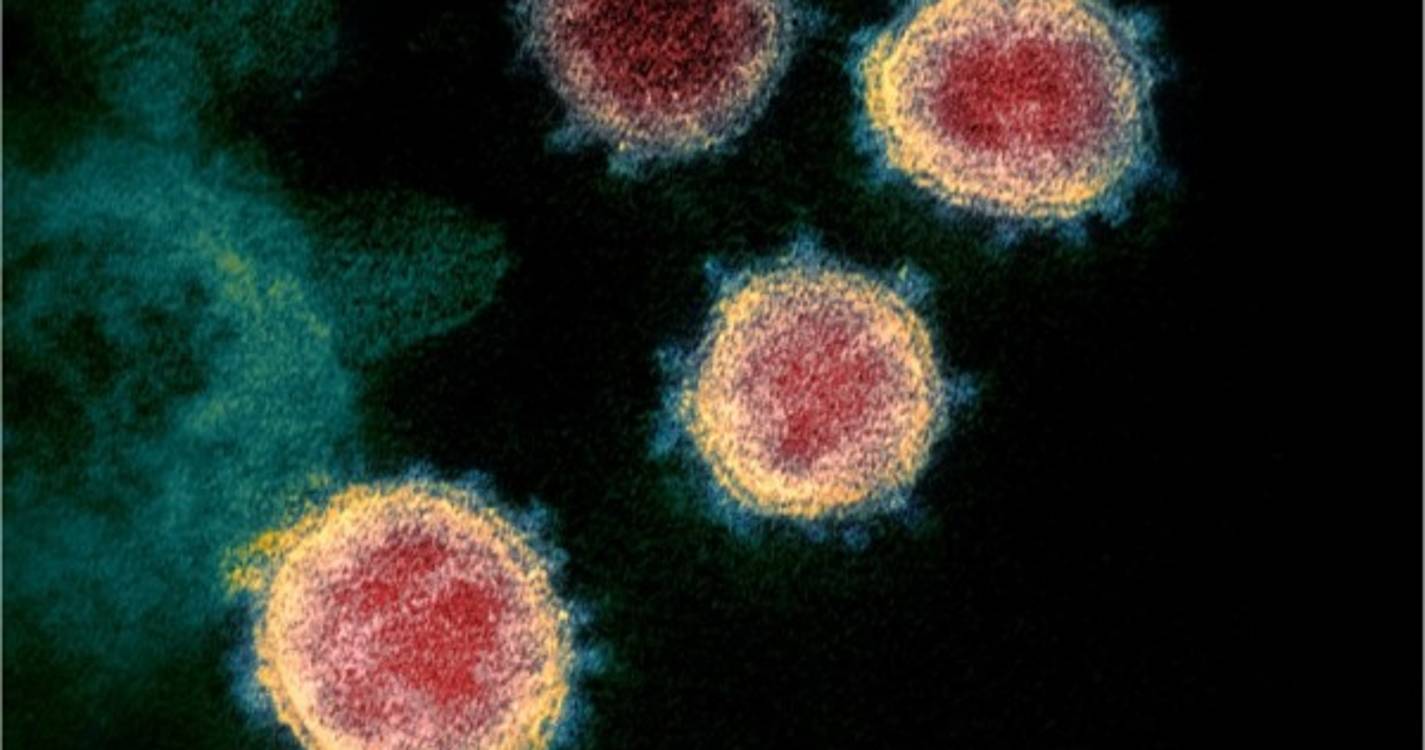 Covid-19: Variante Delta permanece dominante em todo o país