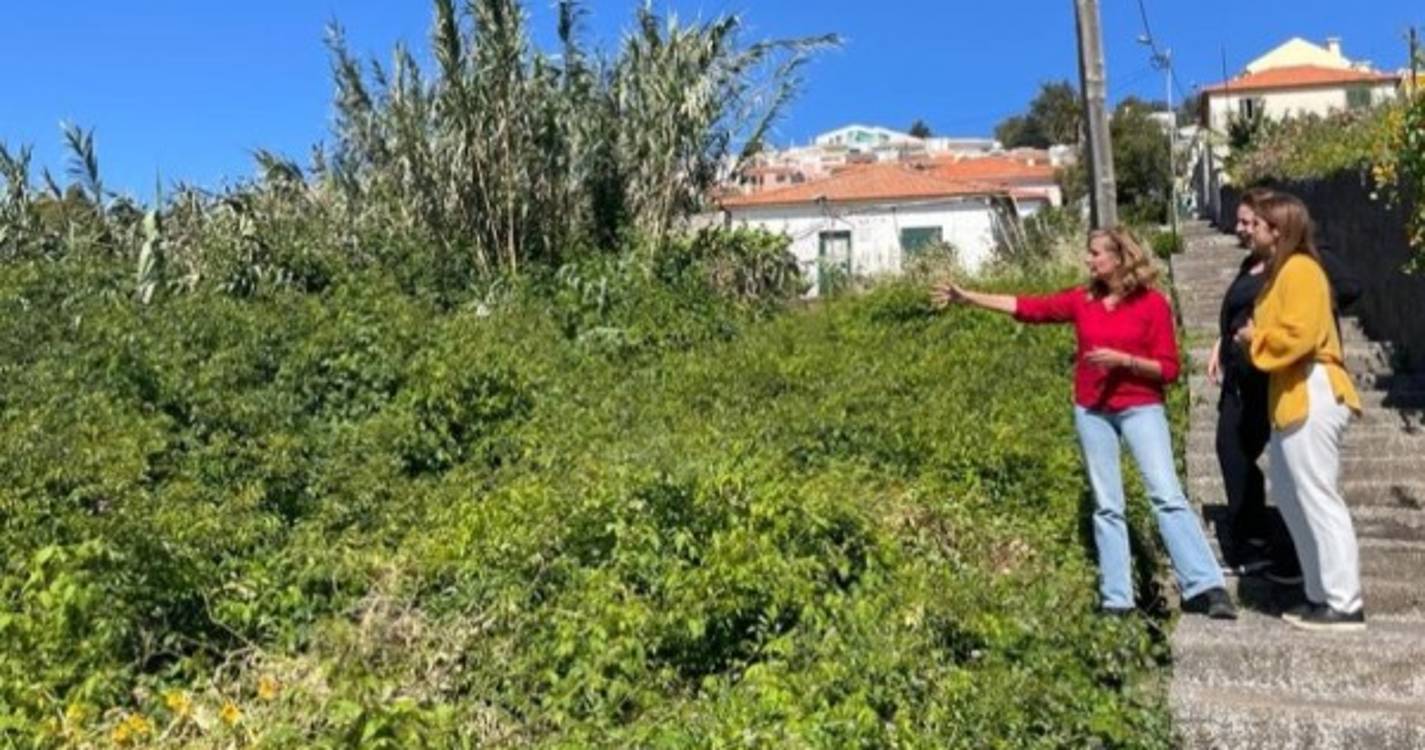 ‘Confiança’ alerta para a importância da limpeza de terrenos