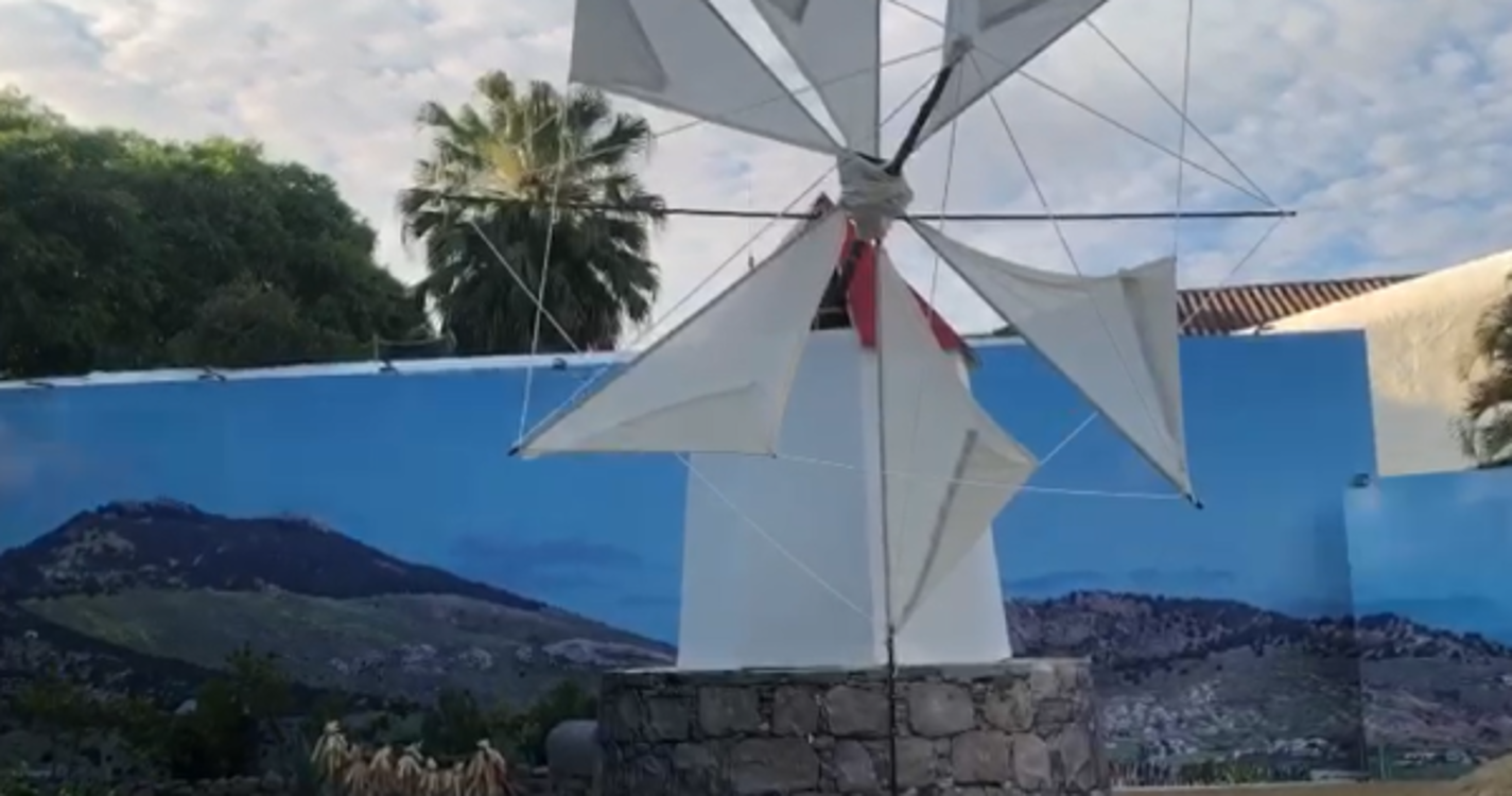 Instalação da Festa da Flor no Largo da Restauração atrai turistas