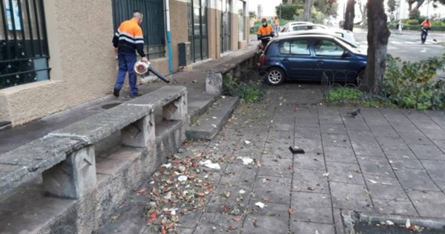 MPT contra práticas de Departamento do Ambiente na CMF