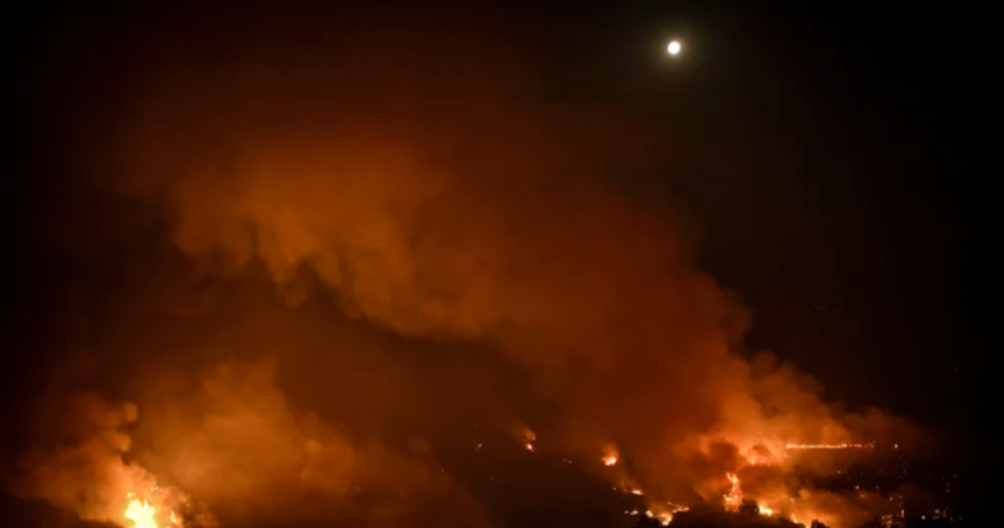 Incêndios: ICNF compromete-se com simplificação de projetos para apoios à floresta