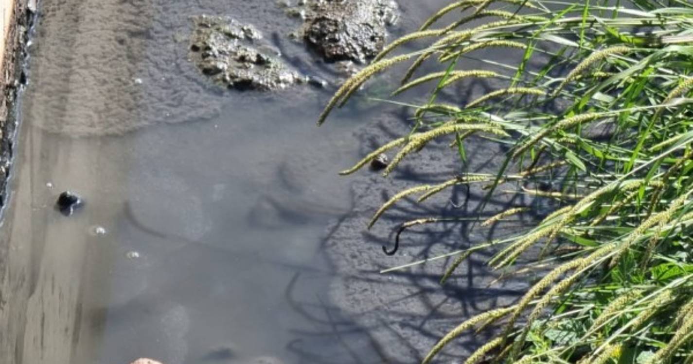 Descarga de águas residuais na Calheta motiva queixa do PS