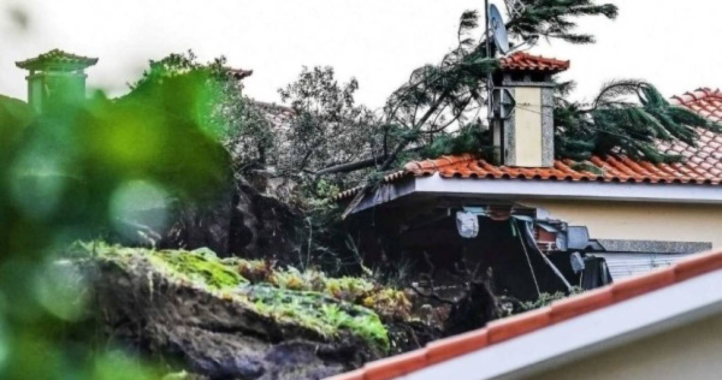 Casa atingida por deslizamento de terra em Esposense ficou inabitável