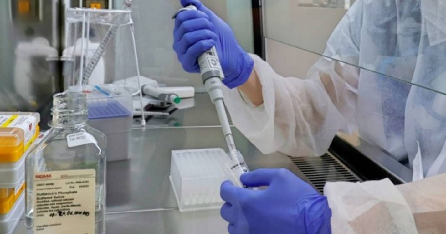 Covid-19: Detetados 16 casos da nova variante em Portugal Continental