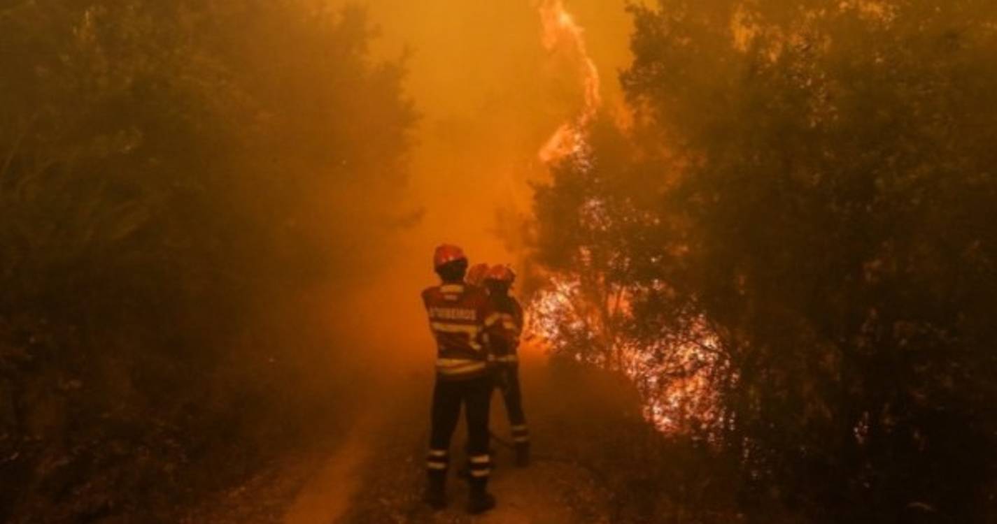 Incêndios: Várias pessoas retiradas preventivamente devido a fogo em Castro Marim