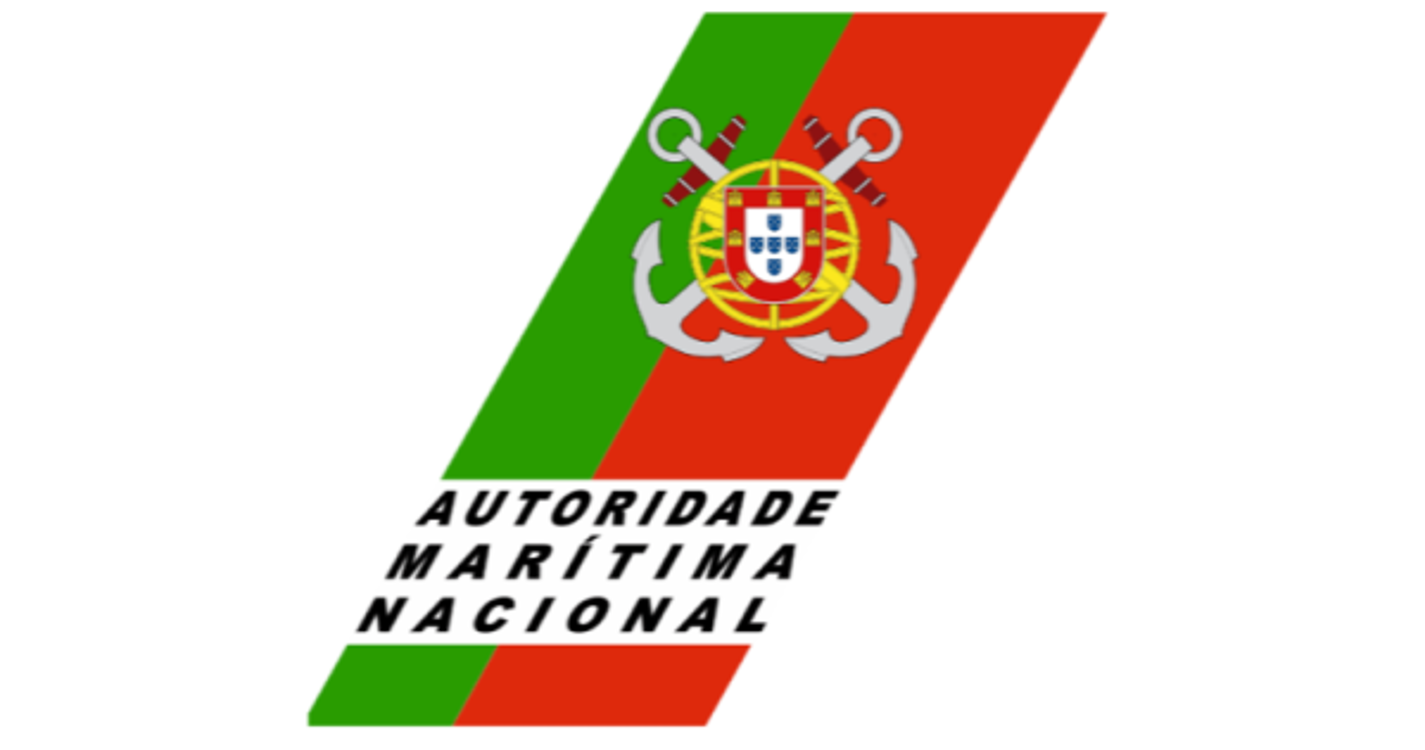 Golfinho resgatado de uma zona rochosa numa praia de Mafra