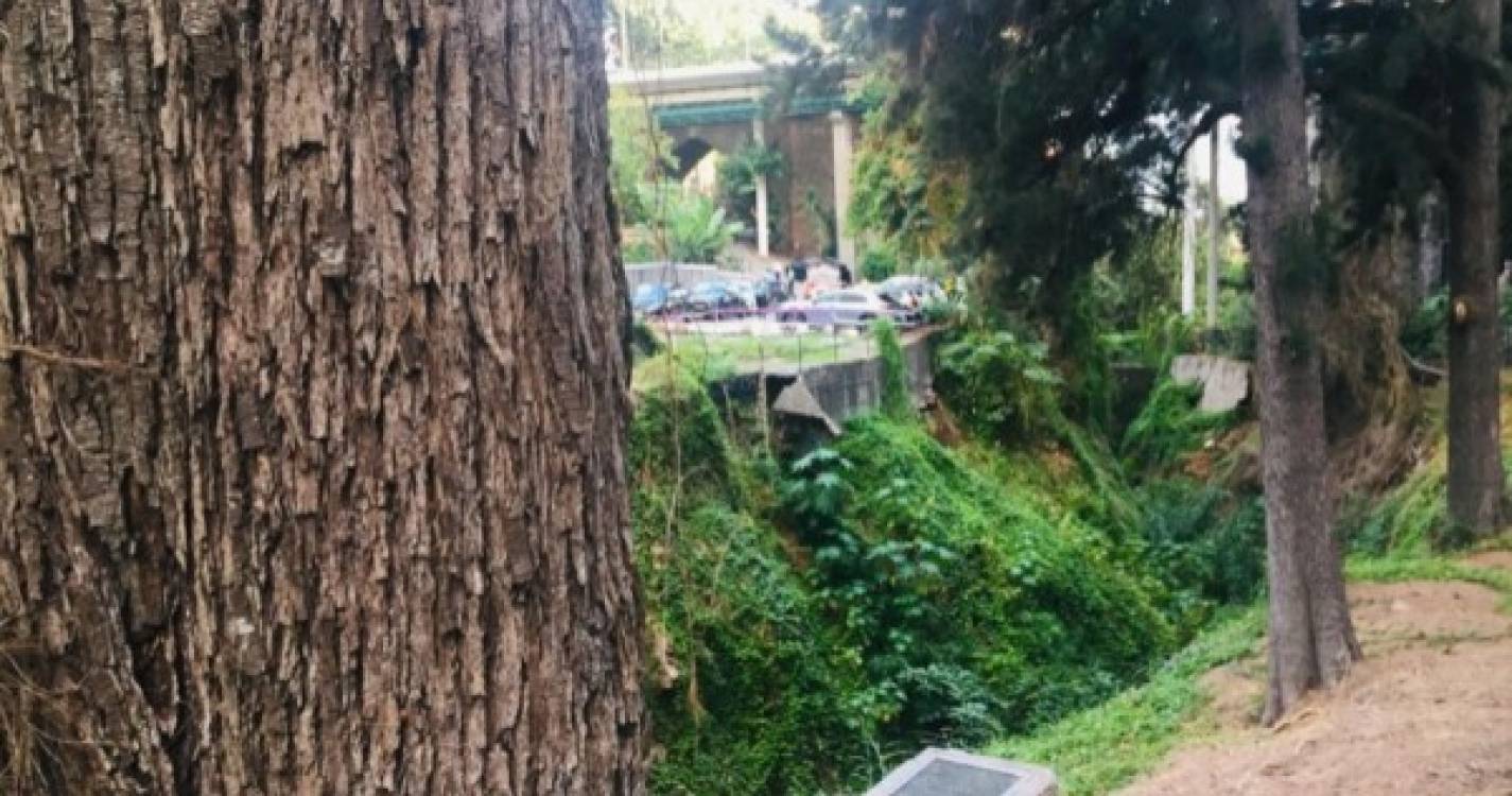 Confirmada morte do homem que caiu da ponte do Ribeiro Seco